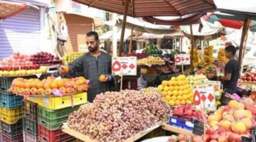 تغيرات قائمة أسعار الخضروات والفاكهة في سوق العبور بمنتصف تعاملات اليوم الأربعاء